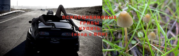 таблы Кодинск