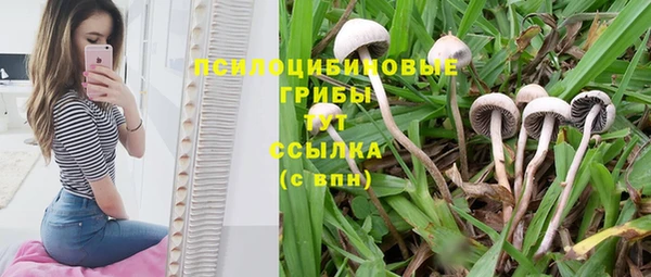таблы Кодинск