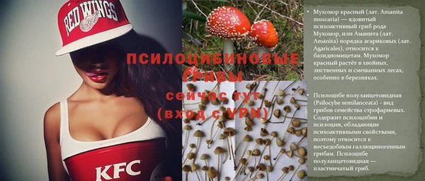 таблы Кодинск