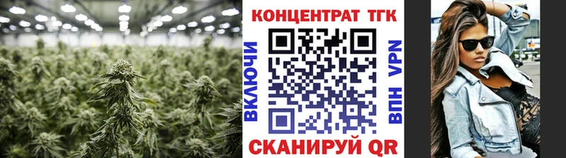 ТГК вейп с тгк KRAKEN ссылка Собинка где купить